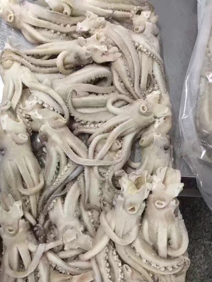 机洗头